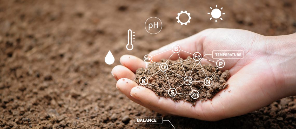 Top view of soil in hands for check the quality of the soil for control soil quality before seed plant. Future agriculture concept. Smart farming, using modern technologies in agriculture"n